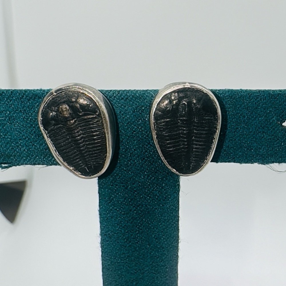 Vintage Sterling silver Trilobite Fossil earrings screw back​​